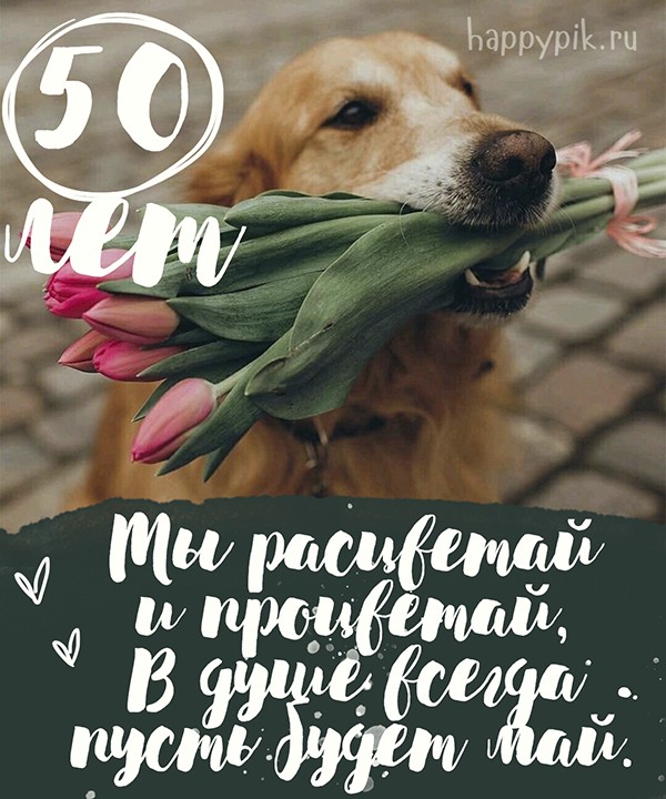 Интересная картинка с собакой и тюльпанами для женщины в 50 лет.