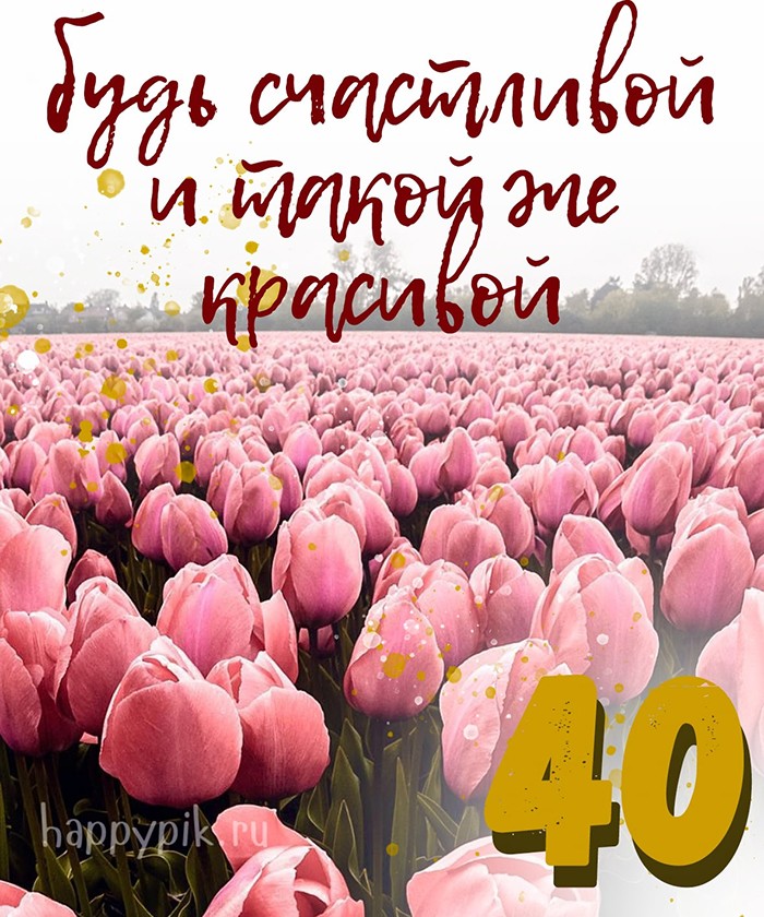 Открытка с бескрайним полем тюльпанов в день 40-летия от коллектива.