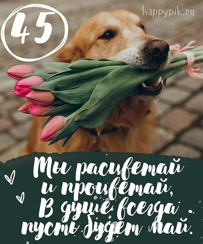 Милая открытка с собакой и букетом тюльпанов для женщины в день рождения.