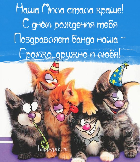 Смешная открытка с котятами для Милы от компании друзей.