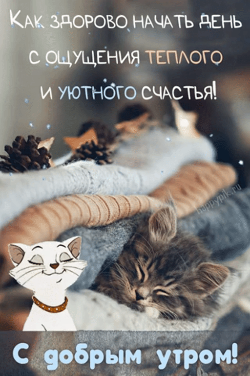 Уютная гиф открытка с котиками с добрым утром.