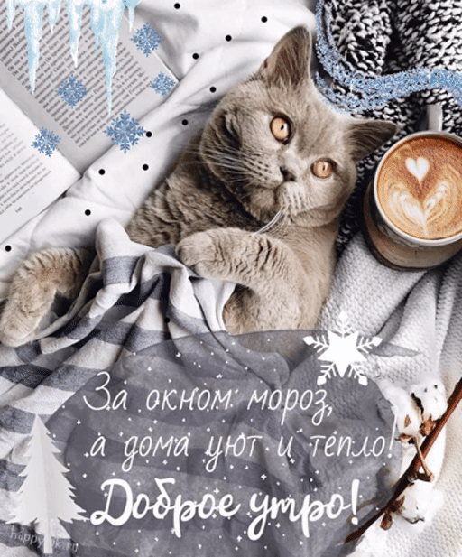 Уютная открытка с котиком с пожеланием доброго утра.