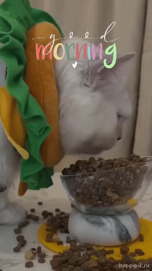 Гиф открытка с котиком и пожеланием хорошего аппетита
