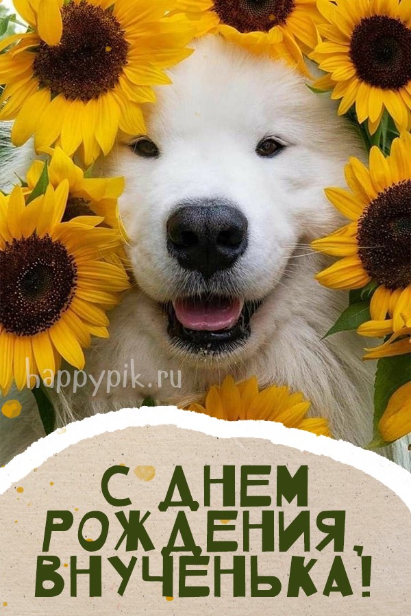 С днем рождения, внученька. Веселая открытка с собачкой.