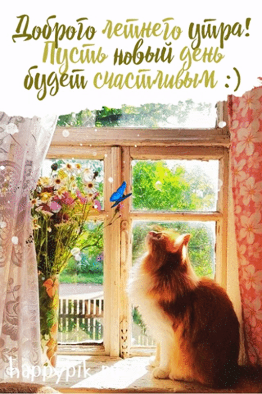 Доброго летнего утра! Пусть новый день будет счастливым. Живая открытка с кошкой и бабочкой.